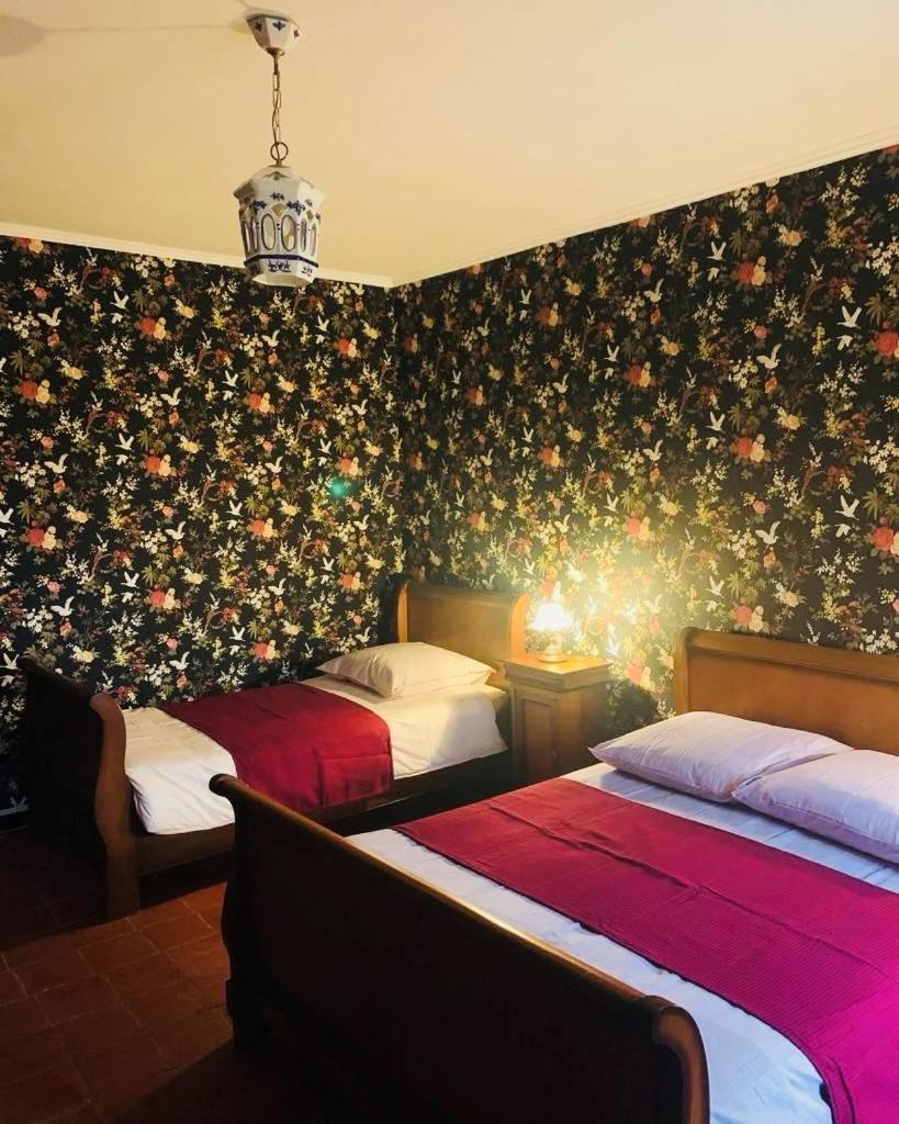 La Babayaga Bed & Breakfast Capestang Ngoại thất bức ảnh